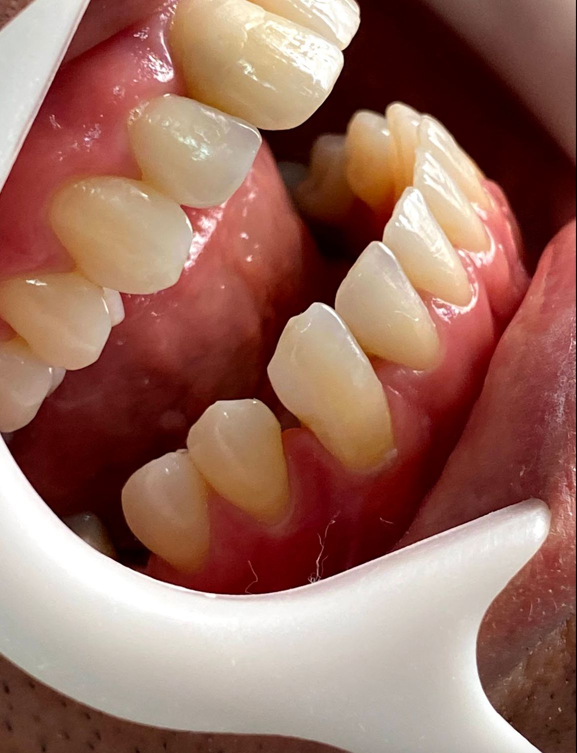 WhatsApp Image 2025-09-27 at 09.27.12 (1)