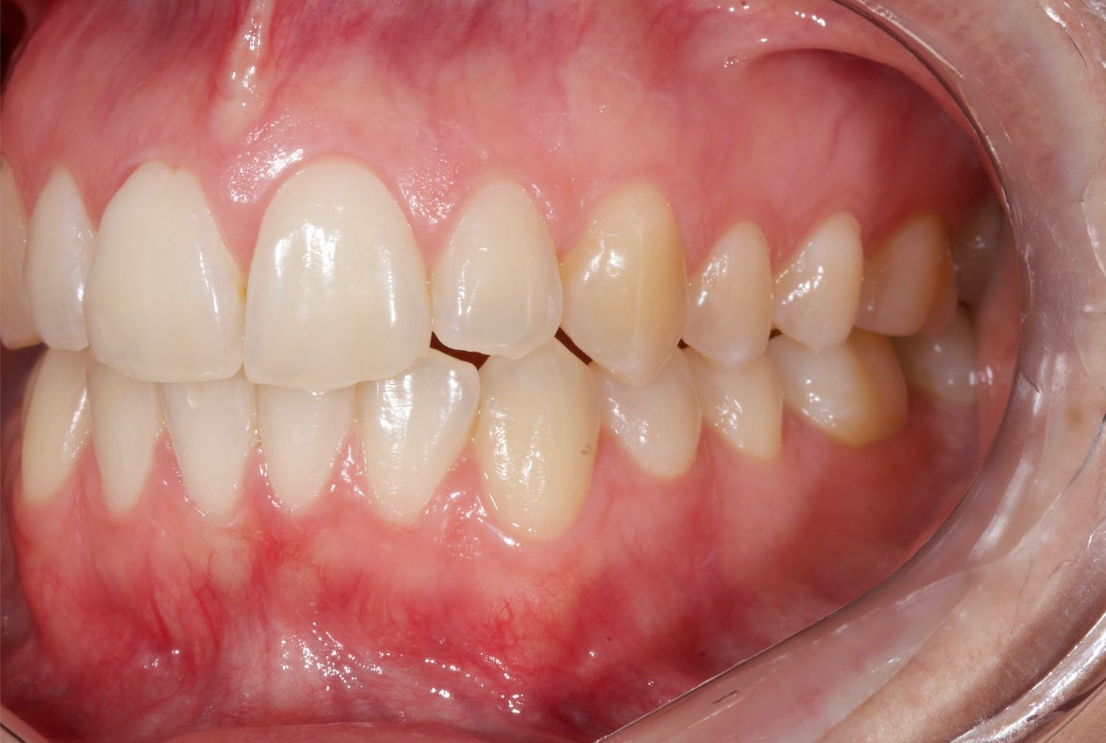 WhatsApp Image 2025-09-27 at 09.27.13